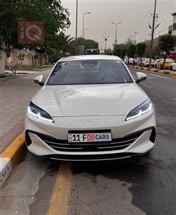 بي واي دي سيل 06 DM-i